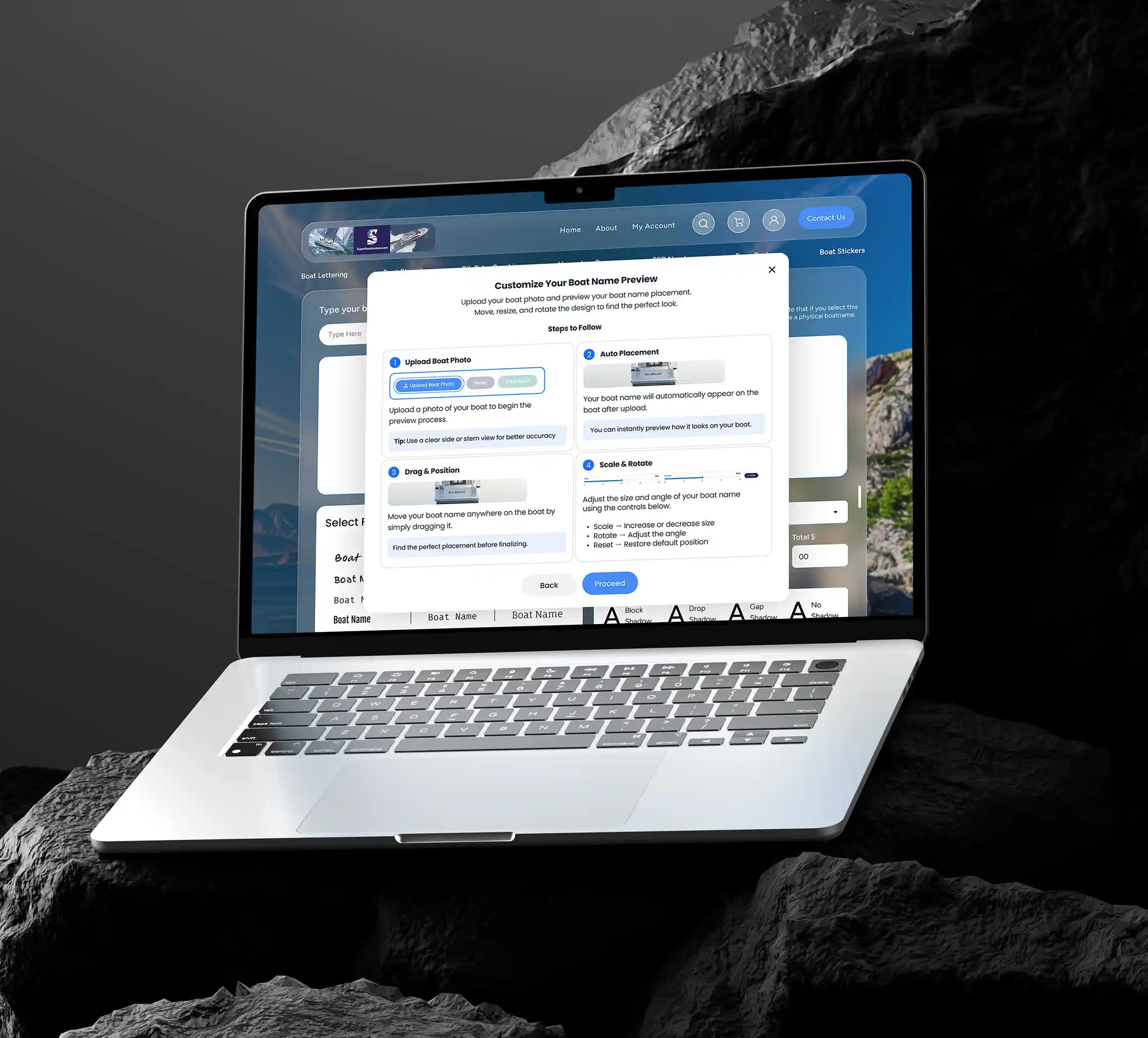 Project Overview
